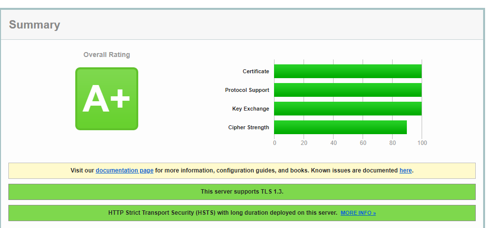 SSLtest100A+